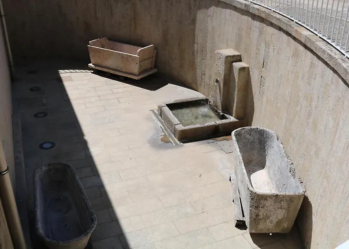 Paço Lafões Termas de São Pedro do Sul